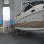Antifouling